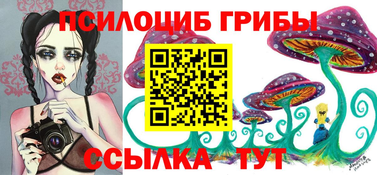 Чусовой  Галлюциногенные грибы MAGIC MUSHROOMS  Вход с VPN 
